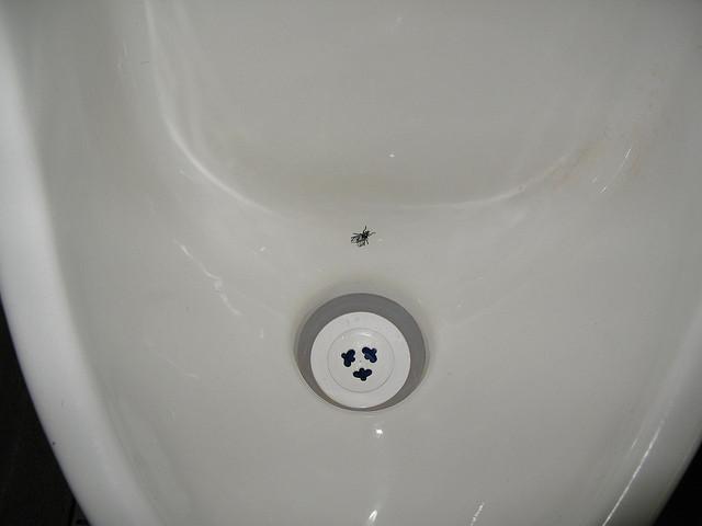 Urinal with a Fly to Aim For | SG World