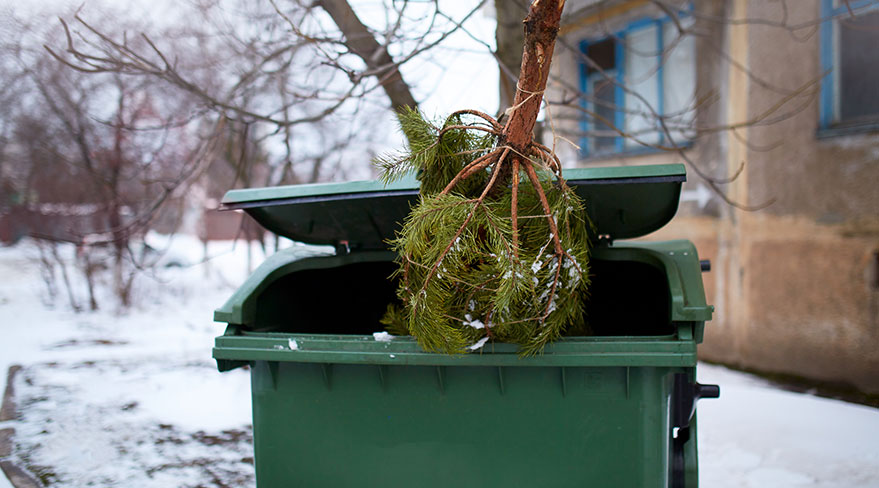 Waste and Recycling: The Christmas Aftermath